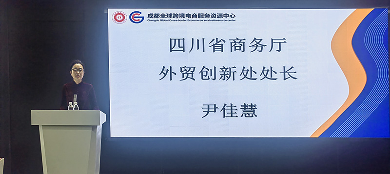 1四川省商务厅外贸创新处处长尹佳慧讲话.jpg