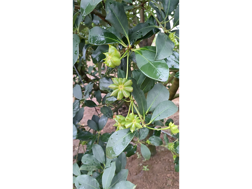 1706601437516068438.png 4.png