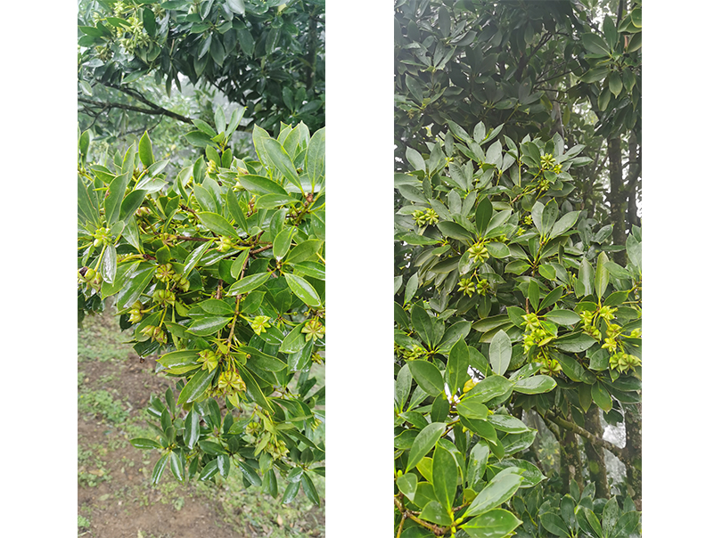 1709523597916008326.jpg 16.jpg