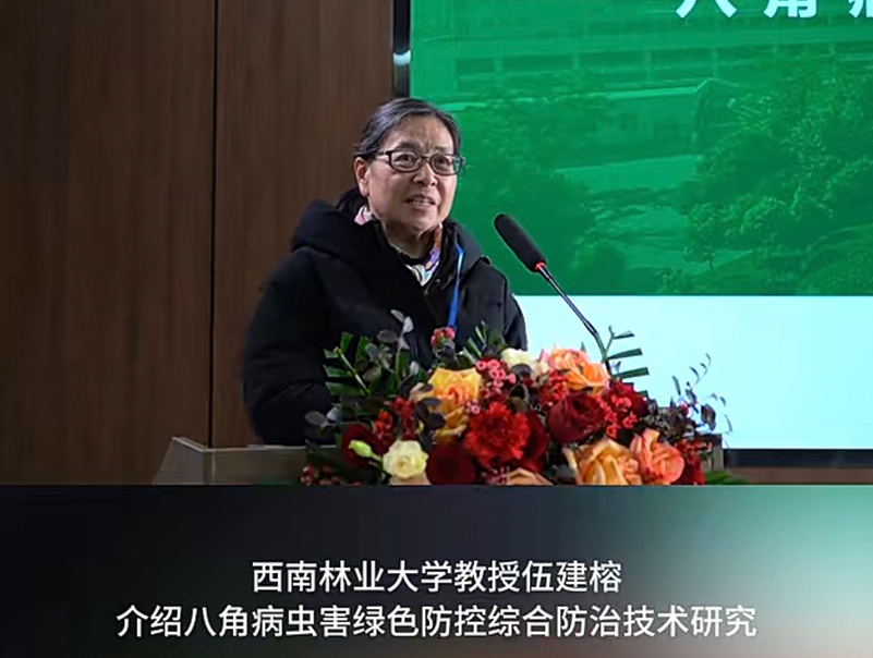 1709523669705082164.jpg 6.jpg